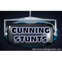 Cunning Stunts by Tim Ellis & Sue-Anne Webster