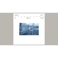 Cyanotypes by Elisha Ott