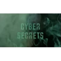 Cyber Secrets by Colin Mcleod