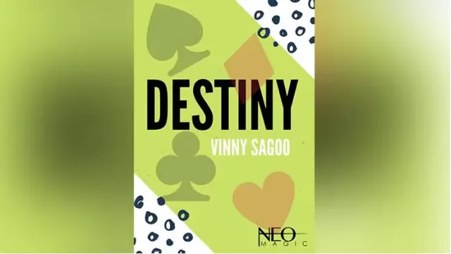 Destiny by Vinny Sagoo