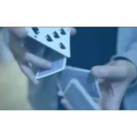 Di.Versity by Di.Cardistry