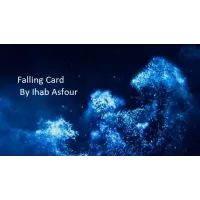 Falling Card by Ihab Asfour