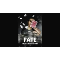 Fate by Mohamed Ibrahim