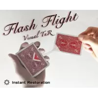 Flash Flight by Nicholas Lawrence