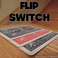 Flip Switch by Adam Kaufman