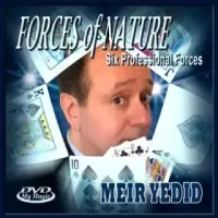 Forces Of Nature by Meir Yedid