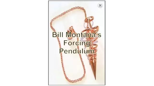 Forcing Pendulum by Bill Montana