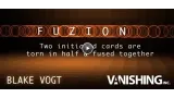 Fuzion by Blake Vogt