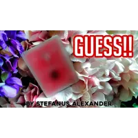 Guess by Stefanus Alexander