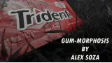 Gum-Morphosis by Alex Soza
