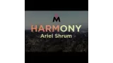 Harmony by Ariel Shrum