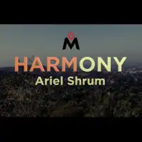 Harmony by Ariel Shrum