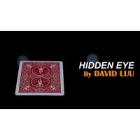 Hidden Eye by David Luu