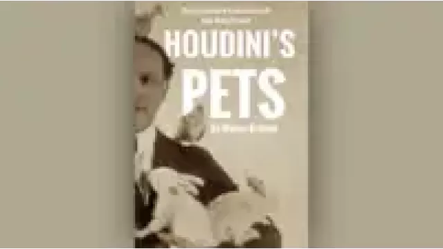 HoudiniS Pets by Wayne Dobson & Alan Wong