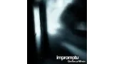 Impromptu Card Through Window by Mason Roberts