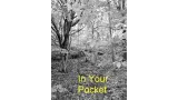 In Your Pocket by Ken Muller
