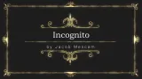 Incognito by Jacob Mescam