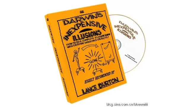 Inexpensive Illusions by Gary Darwin