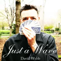 Just A Wave by David Webb