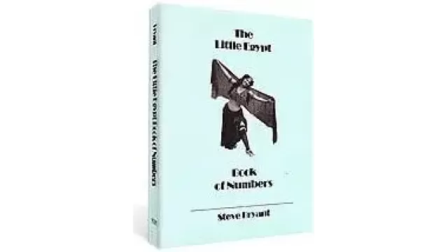 Little Egypt Book Of Numbers by Steve Bryant