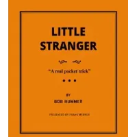 Little Stranger by Bob Hummer