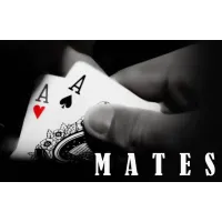 Mates by Dibya Guha
