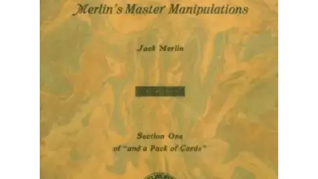 Merlin At The Card Table by Jack Merlin