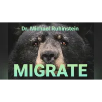 Migrate DLX Coin by Michael Rubinstein