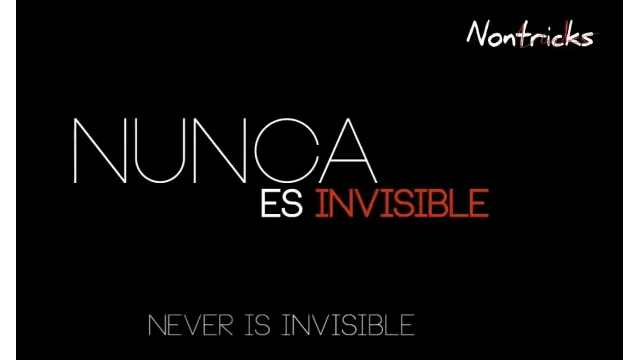 Never Is Invisible by Kiko Pastur