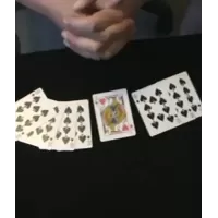 New Wild Cards by Peter Pellikaan