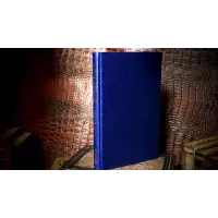 Open Sesame by Eric C. Lewis And Wilfred Tyler