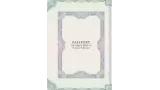 Passport for Pro Gaff by Phill Smith and DMC