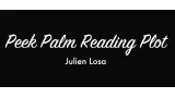 Peek Palm Reading Plot by Julien Losa