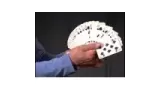 Perpetual Card Fan Productions by Tony Clark