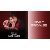 Pinky Promise (1-2) by Shin Lim