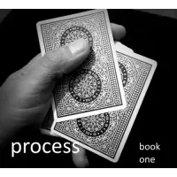 Process: Book One by Doc Docherty