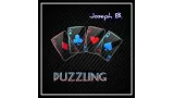 Puzzling by Joseph B 