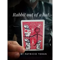 Rabbit Out Of A Hat by Patricio Teran