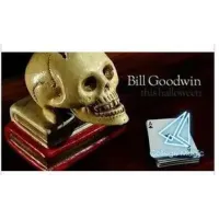 Reflections by Bill Goodwin