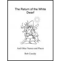 Ron Bauer 2008 Lecture Notes by Ron Bauer