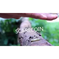 Scarecoin by Arnel Creations