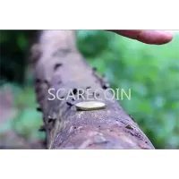 Scarecoin by Arnel Renegado