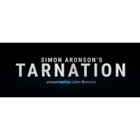 Simon Aronson'S Tarnation by John Bannon