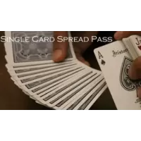 Single Card Spread Pass by Vivek Singhi