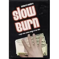 Slow Burn by Richard Sanders