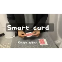 Smart Card by Dingding