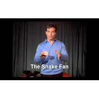 Snake Fan by Tony Clark