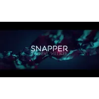 Snapper by Laurent Villiger