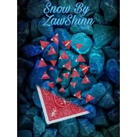 Snow by Zawshinn
