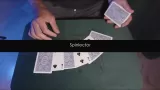 Spin Project by Yoann Fontyn